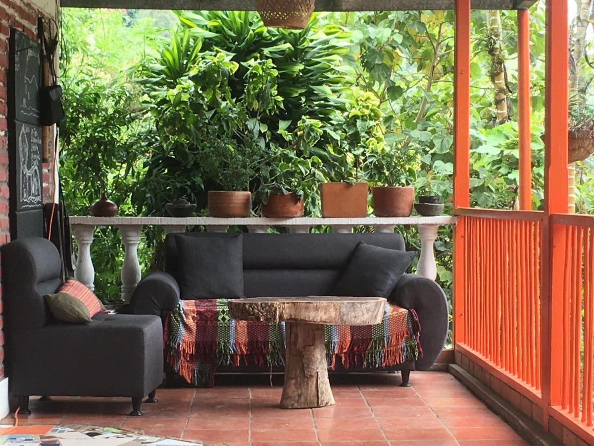 Habitacion Las Bromelias, Pijao, Finca Flora Del Rio Εξωτερικό φωτογραφία