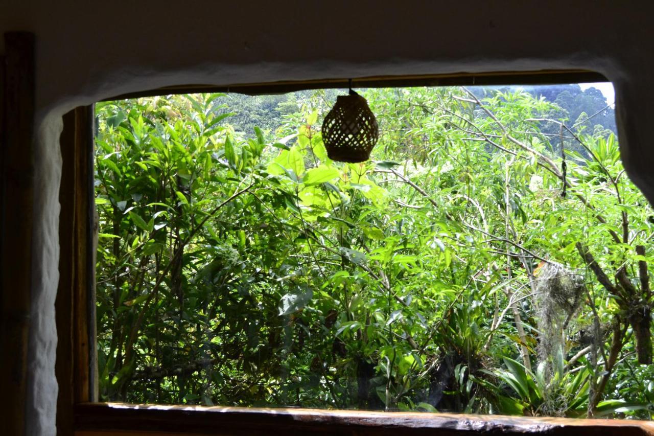 Habitacion Las Bromelias, Pijao, Finca Flora Del Rio Εξωτερικό φωτογραφία